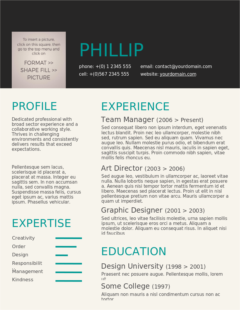 Turquoise On Dark Grey CV preview